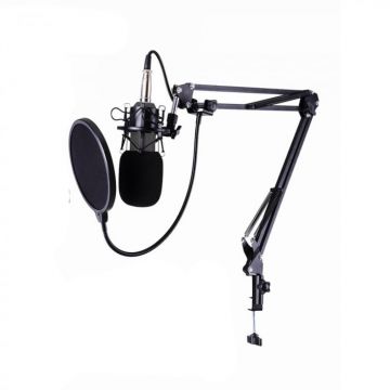 ProMic Kit Microfon Podcast USB