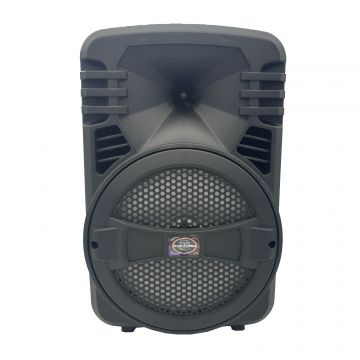 Boxa Activa Portabila Bluetooth, Soundvox™ CH-813, 20 W, USB, TF/SD Card, Aux, Radio FM, Microfon si Lumini, Negru