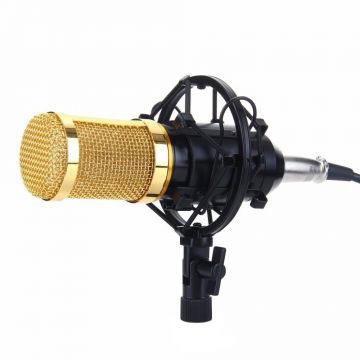 Microfon Profesional BM800 Techstar®, Inregistrare Vocala si Karaoke, Gold Negru