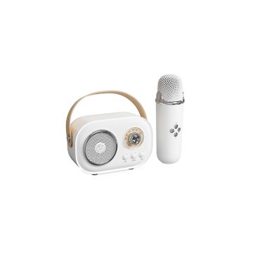 Radio Portabil Karaoke C20, Microfon Wireless Inclus cu Efecte de Voce, Bluetooth, FM, Alb