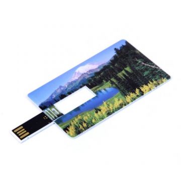 Micro reportofon digital profesional ascuns in card USB TSM AR-COLIBRI-STEREO-USB, 20 ore, 2GB