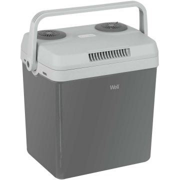 Lada Frigorifica 32L 58W Grey