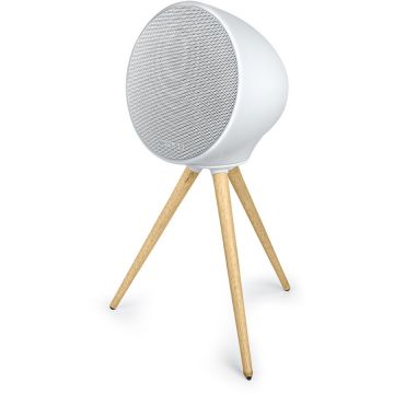 MUSE Boxa bluetooth portabila HIFI Muse, 100W, IPX4, ML-655 BT