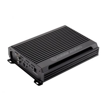 Amplificator auto Reiss Audio RS-W1000.1D
