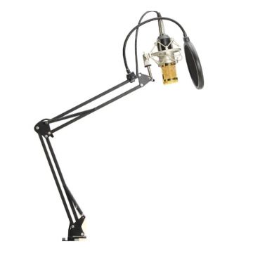 Microfon profesional Studio Condenser, 150 Ohm, 78 dB, suport flexibil
